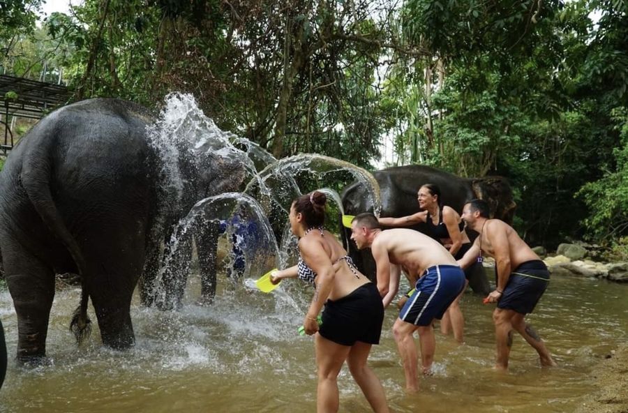 Guests splashing water with elephants in a stream