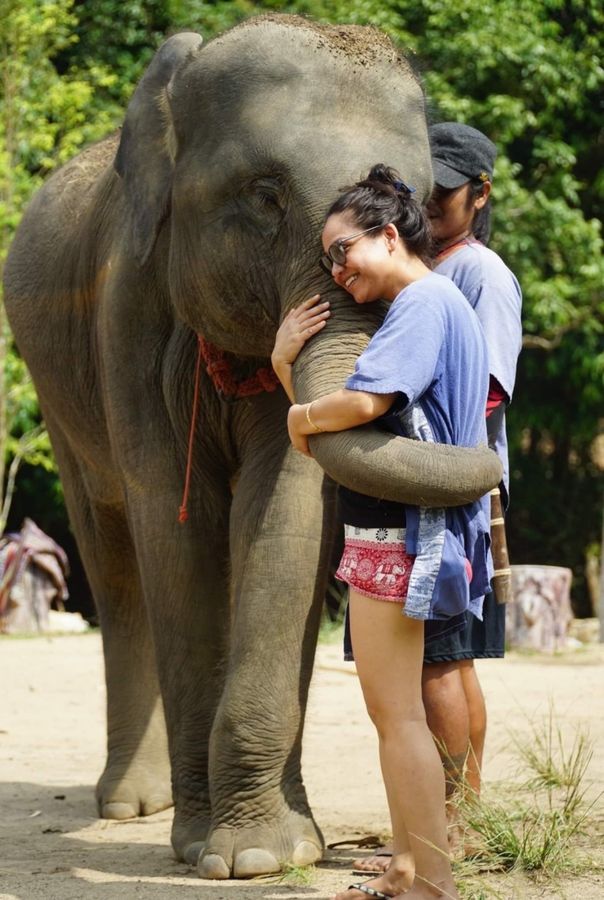 Guest hugging an elephant