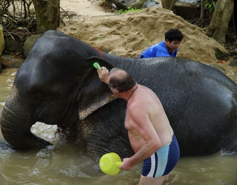 Guest washing an elephant in the stream