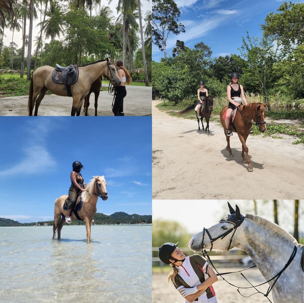 Guests riding horses on a trail and in shallow sea water in Koh Samui